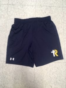 UA Navy Shorts (Mens)